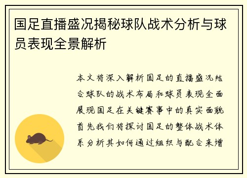 国足直播盛况揭秘球队战术分析与球员表现全景解析